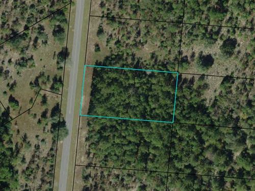 1.2 Acre Lot on Paved Road : Alford : Jackson County : Florida