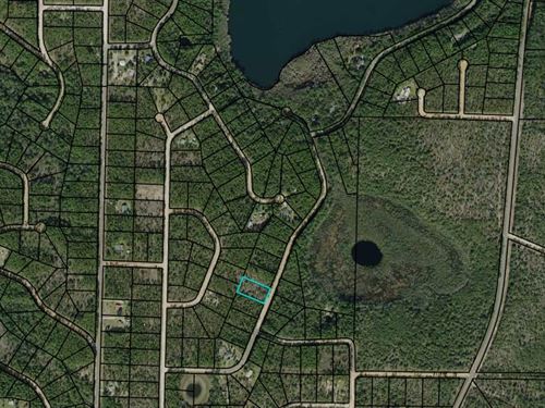 1.14 Acre, Walking Distance of Lake : Alford : Jackson County : Florida