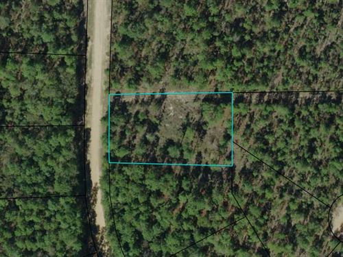 1.2 Acres Near McCormick Lake : Alford : Jackson County : Florida