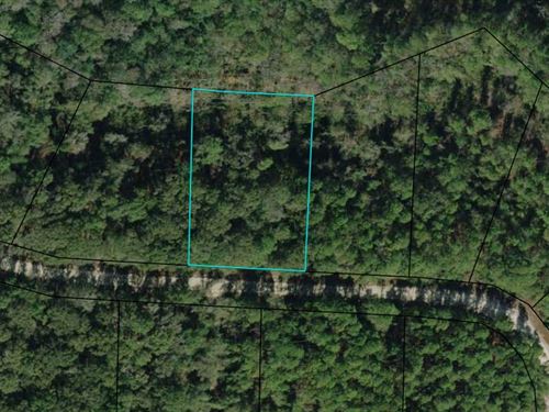 1.128 Acre Compass Lakes : Alford : Jackson County : Florida