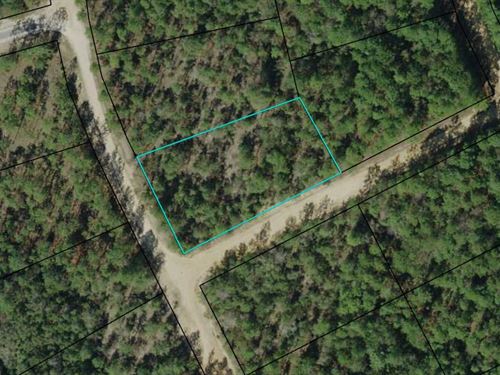 Compass Lakes 1.1 Ac Corner Lot : Alford : Jackson County : Florida