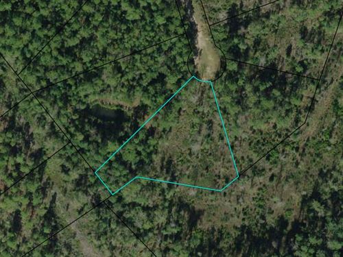 1.13 Acre Cul-De-Sac Lot : Alford : Jackson County : Florida