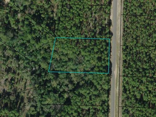 1.3 Acres Minutes From Lake : Alford : Jackson County : Florida