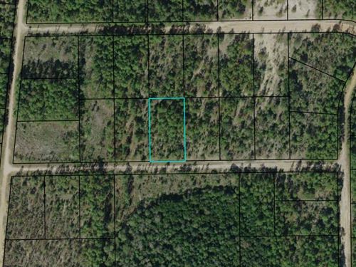 1.14 Acre Lot in Compass Lakes : Marianna : Jackson County : Florida