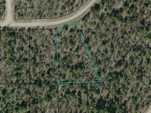 1.275 Acre Lot in Compass Lakes : Marianna : Jackson County : Florida