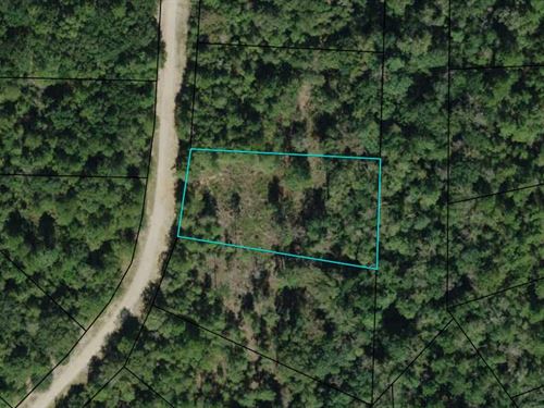 1.1 Acres in Lake Community : Alford : Jackson County : Florida