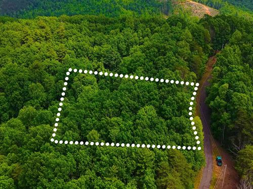 Quiet Lot Mins From Waterfalls : Connelly Springs : Burke County : North Carolina