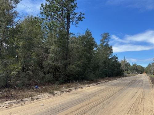 .23 Acre Waiting for You in FL : Interlachen : Putnam County : Florida