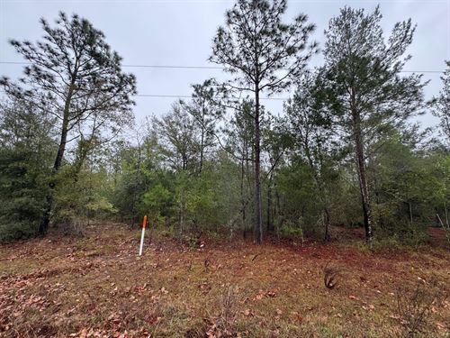 Begin Your Land Ownership Today : Interlachen : Putnam County : Florida