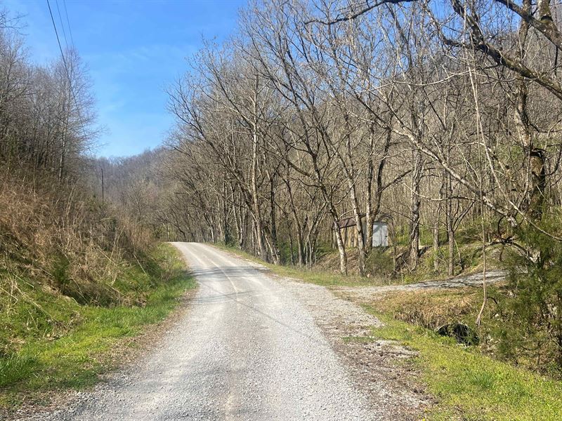 3.32 Acres in Dekalb County, TN : Smithville : DeKalb County : Tennessee