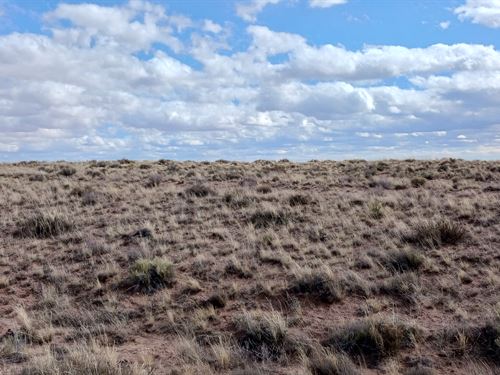 1.16 Peaceful Acres, Apache County : Holbrook : Apache County : Arizona