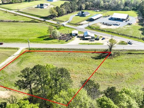 Prime Commercial Property in Elmore : Elmore : Alabama