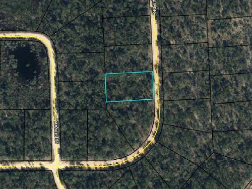1.14 Acre Lake Community Lot : Marianna : Jackson County : Florida