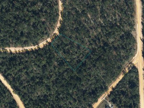 1.2 Acre Equestrian Friendly Lot : Marianna : Jackson County : Florida