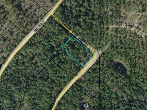1.14 Ac Corner Lot in Compass Lake : Marianna : Jackson County : Florida