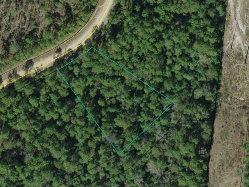 1.1 Ac Minutes From Lake : Alford : Jackson County : Florida