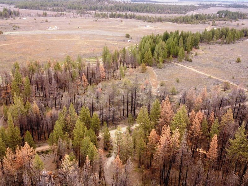 Oregon Pines Lot with Mountain View : Oregon City : Klamath County : Oregon