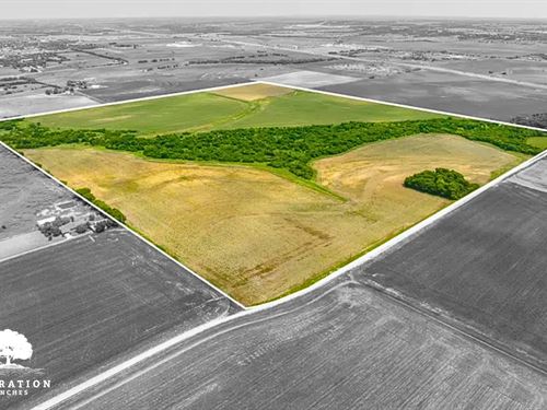 Itasca Tract 4, Only $15K Down : Itasca : Hill County : Texas