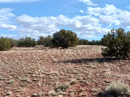 Sep Sale 2.1 Acres AZ Just $45 Down : Concho : Apache County : Arizona