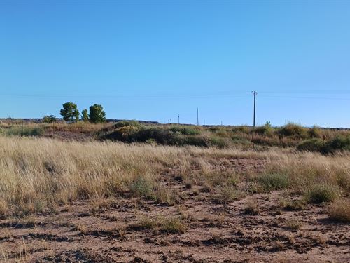 Close to Town, No Restrictions : Saint Johns : Apache County : Arizona