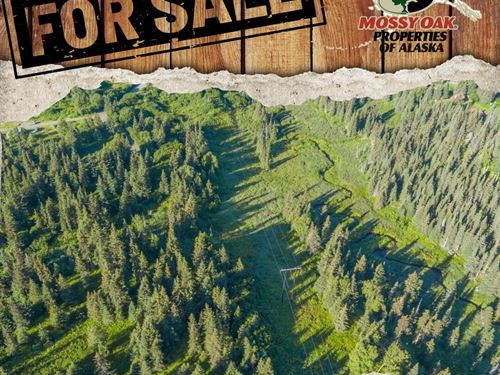 Wild Land on Happy Creek : Ninilchik : Kenai Peninsula Borough : Alaska