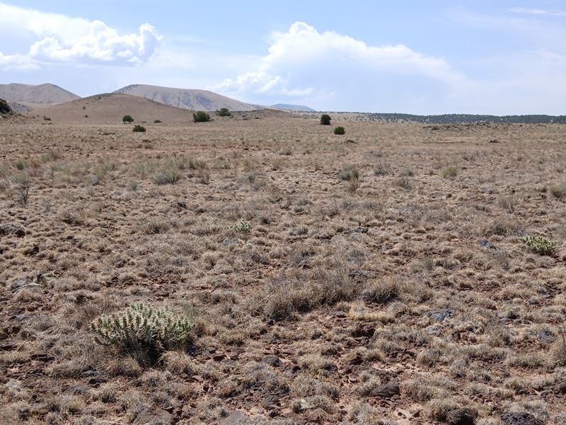 Land. Life. Legacy : Concho : Apache County : Arizona