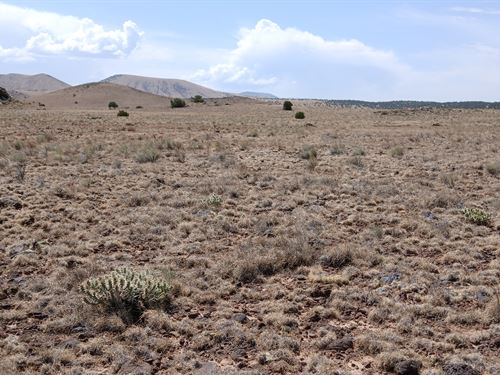 Land. Life. Legacy : Concho : Apache County : Arizona