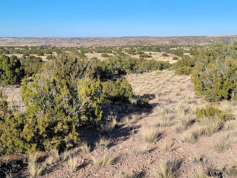 Land. Life. Legacy : Concho : Apache County : Arizona