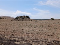 Big Dreams Start Here : Concho : Apache County : Arizona