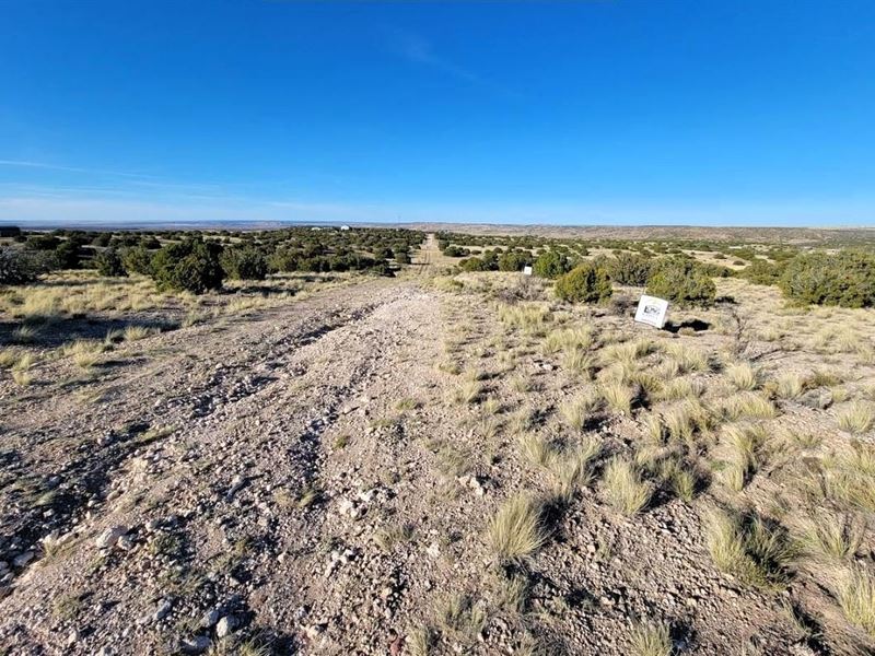 Big Dreams Start Here : Concho : Apache County : Arizona