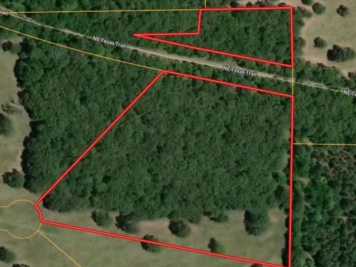 Beautiful Off Grid Land Bagwell, TX : Bagwell : Red River County : Texas
