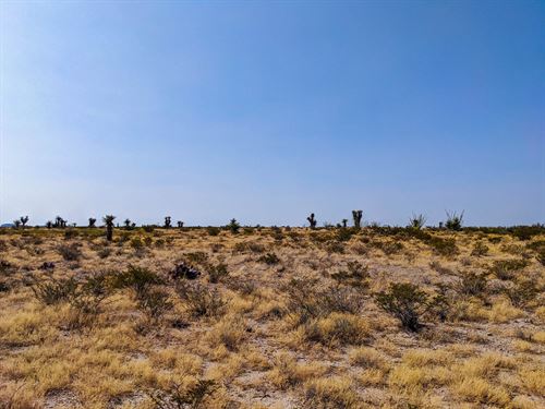 El Paso Escapade : El Paso : Texas