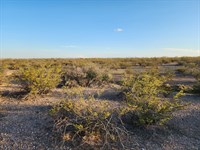 Start Your Dream on 0.53 Acre : Deming : Luna County : New Mexico