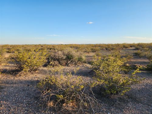 Start Your Dream on 0.53 Acre : Deming : Luna County : New Mexico