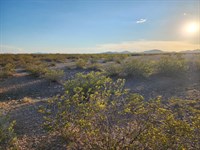 Build Your Legacy on 2.5 Acres : Deming : Luna County : New Mexico