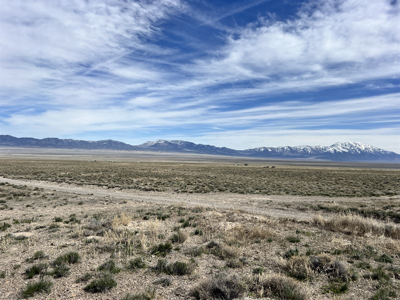 Conquer The Wild in Elko County, NV : Wells : Elko County : Nevada