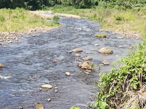 Beautiful Property : Costa Rica