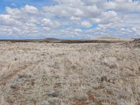 Upgrade Your Fun This Summer : Concho : Apache County : Arizona