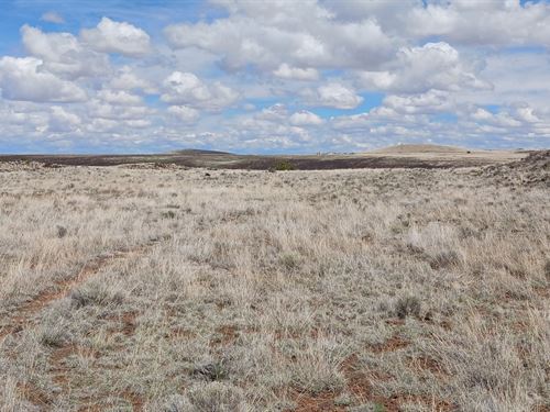 Upgrade Your Fun This Summer : Concho : Apache County : Arizona