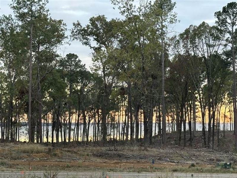 Lot with Unmatched Views : Madison : Madison County : Mississippi