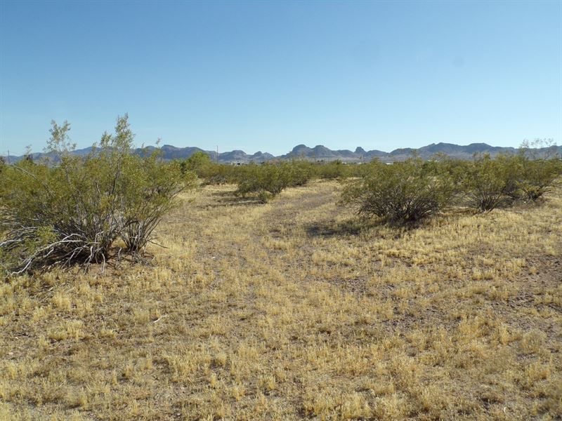 Starry Nights & Mountain Views : Golden Valley : Mohave County : Arizona