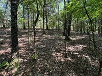 Summer Loop 12.22 : Cedarville : Crawford County : Arkansas