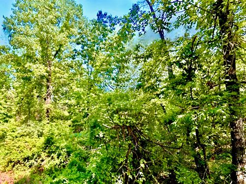 Camping and RV Paradise Nearby Lake : Horseshoe Bend : Izard County : Arkansas