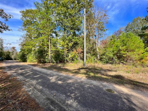 Lake Life Near Houston for Retirees : Woodville : Tyler County : Texas