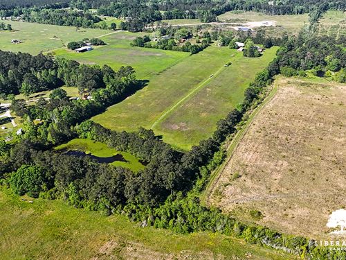 Dayton Tract 7, Only $15K Down : Dayton : Liberty County : Texas