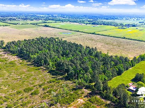 Dayton Tract 15, Only $15K Down : Dayton : Liberty County : Texas