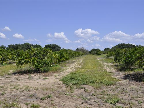 Frostproof Residential Development : Frostproof : Polk County : Florida