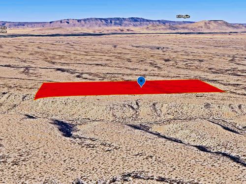 Calling All Motorsports : Presidio : Texas