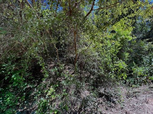 Woodville TX Investment Opportunity : Woodville : Tyler County : Texas