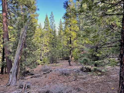 Recreational Paradise for Adventure : Alturas : Modoc County : California